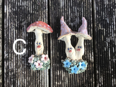 Wall mushrooms - slight seconds