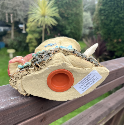 Mushroom men money box